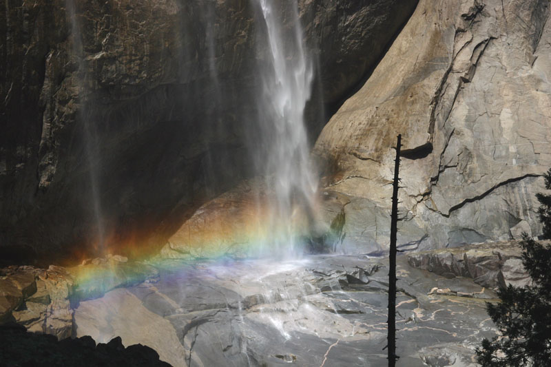 Ysmt-FallTrl-060805-068